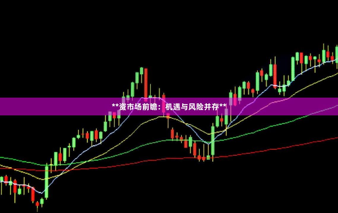 **资市场前瞻：机遇与风险并存**