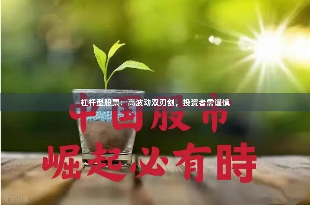 杠杆型股票：高波动双刃剑，投资者需谨慎